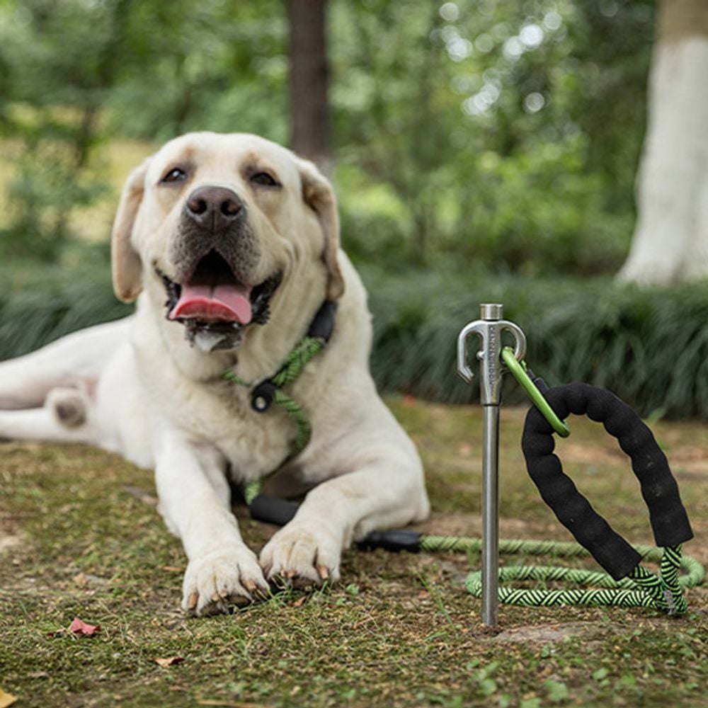 캠핑 강아지 목줄 스텐 고정팩 30cm 1P 말뚝 안전팩 17,290원