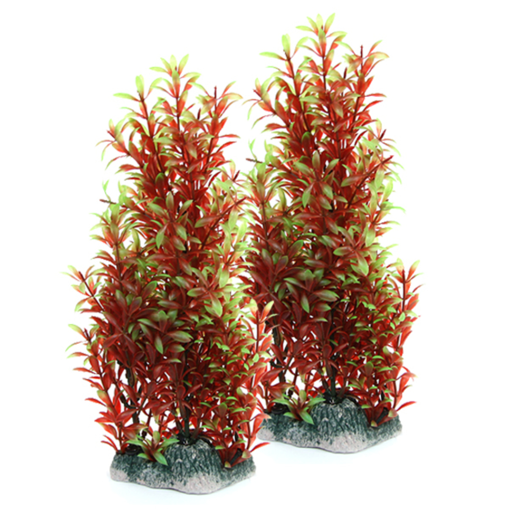 파이브오션 조화수초 레드 3206555 6,000원