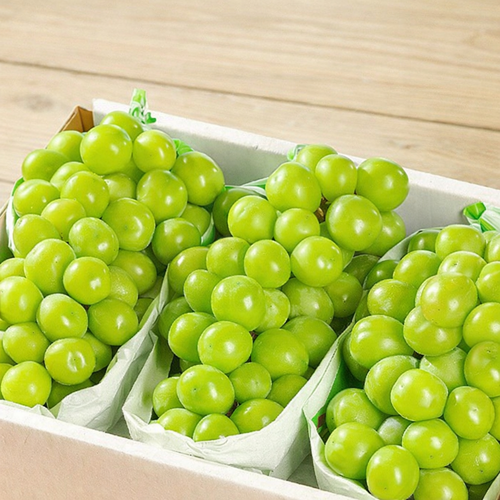 꿀범벅 당도선별 초고당도 샤인머스켓 망고포도 30,800원