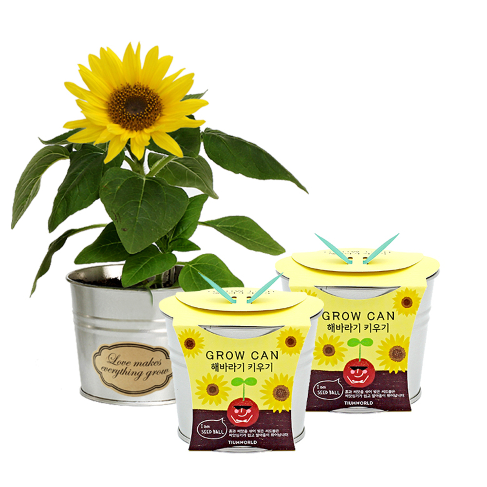 틔움세상 new 그로우캔 키우기 10,240원