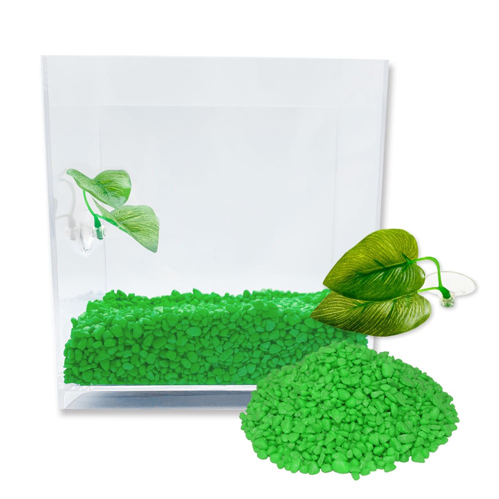 아쿠아테라 뉴탱크 베타어항 세트 11,800원