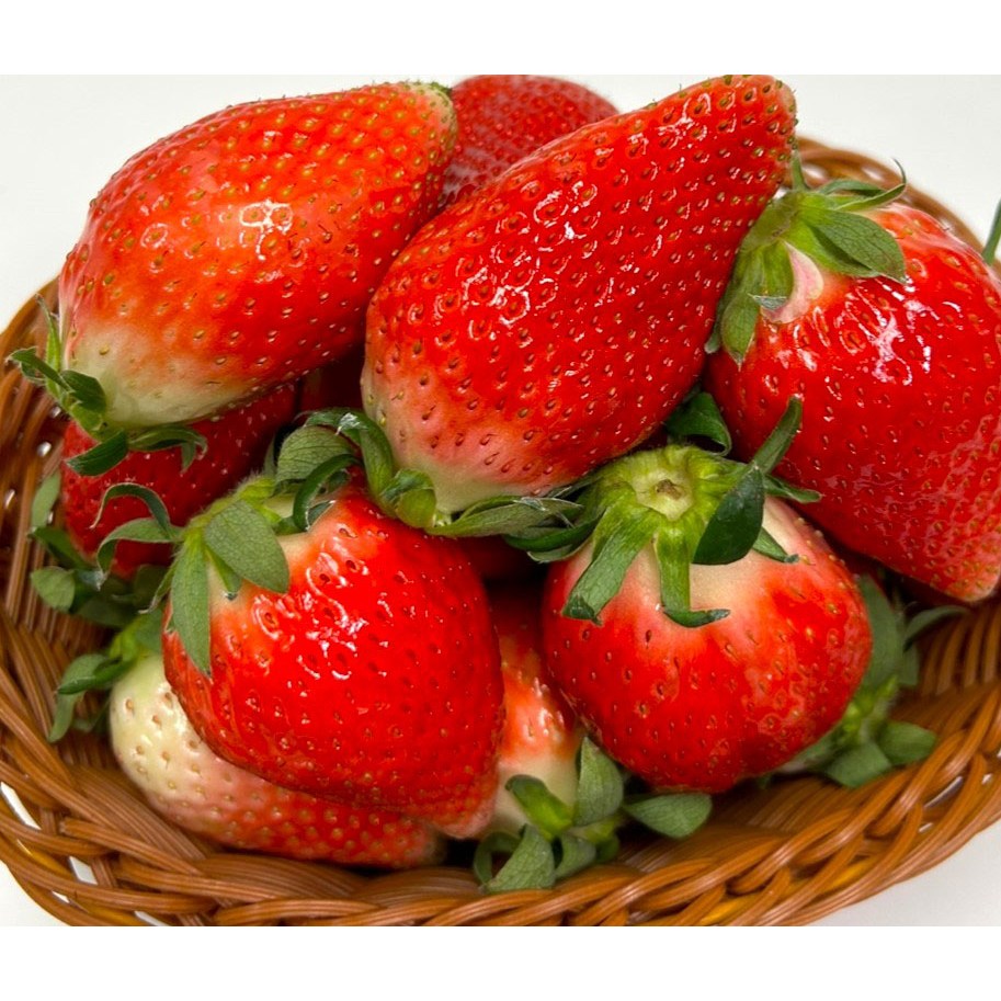 국내산딸기 고당도딸기 선물용 설향 킹스베리 특과 실속과 한입과 25,900원