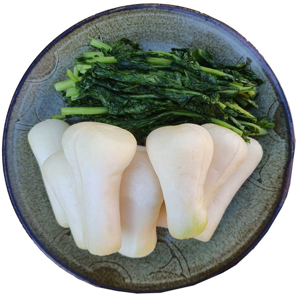 총각무 알타리 절임 20kg (알타리무절임) / 문의전화 고객센터(010-5015-5716), 2-3일소요, 1박스, 20kg 99,600원