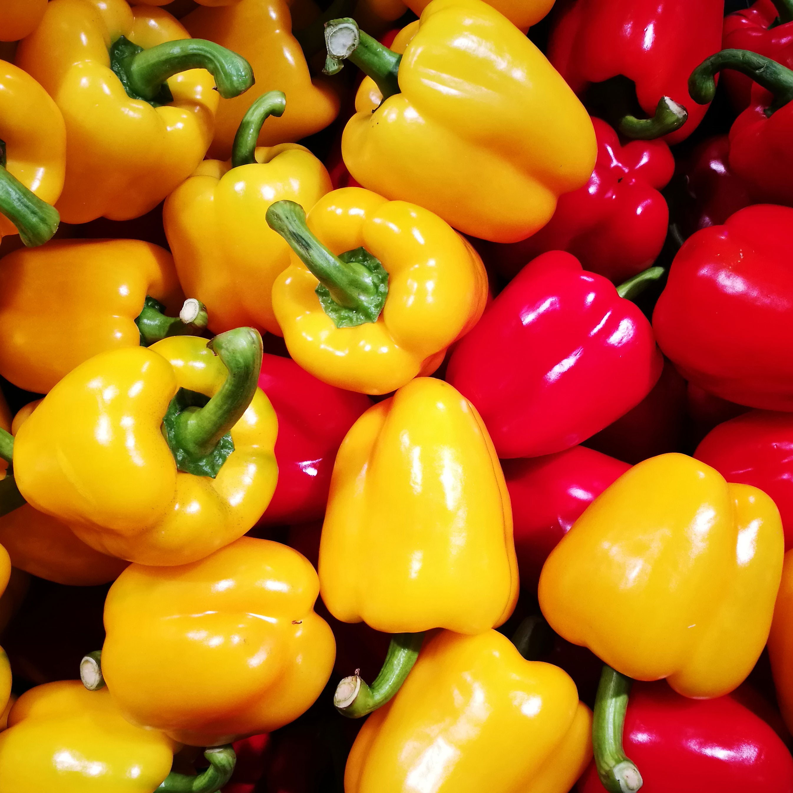 갓 수확한 아삭한 파프리카 9,200원