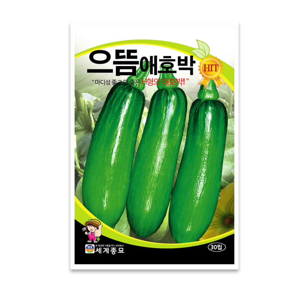 세계종묘 으뜸 애호박 씨앗 30립 5,900원