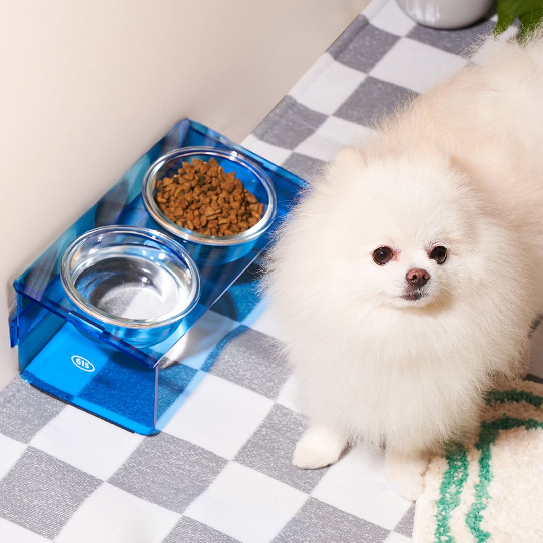 우다다맨숀 고양이 아크릴 식기 2구, 블루, 1개 17,200원