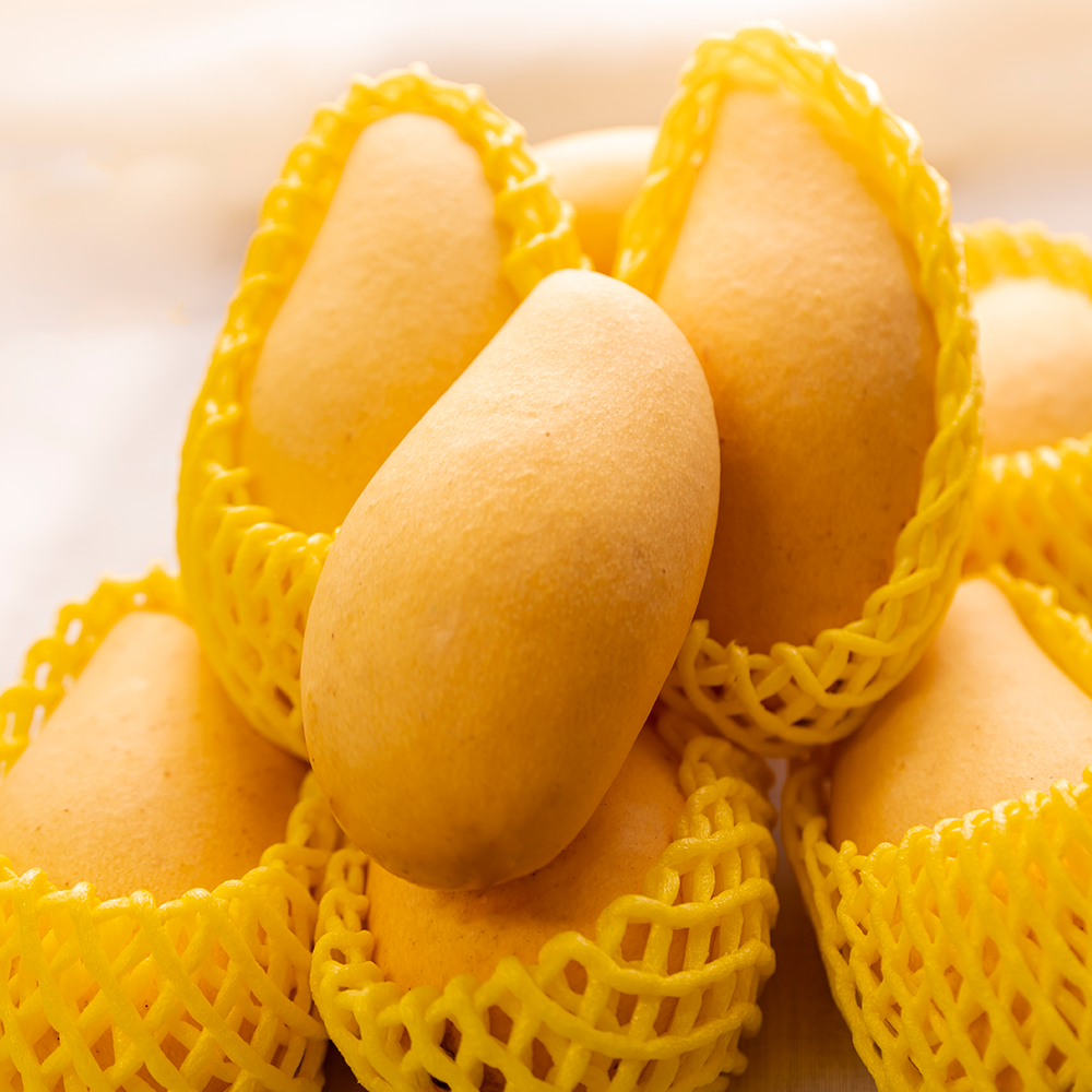 골드망고 태국 항공직송 프리미엄 남독마이 33,900원