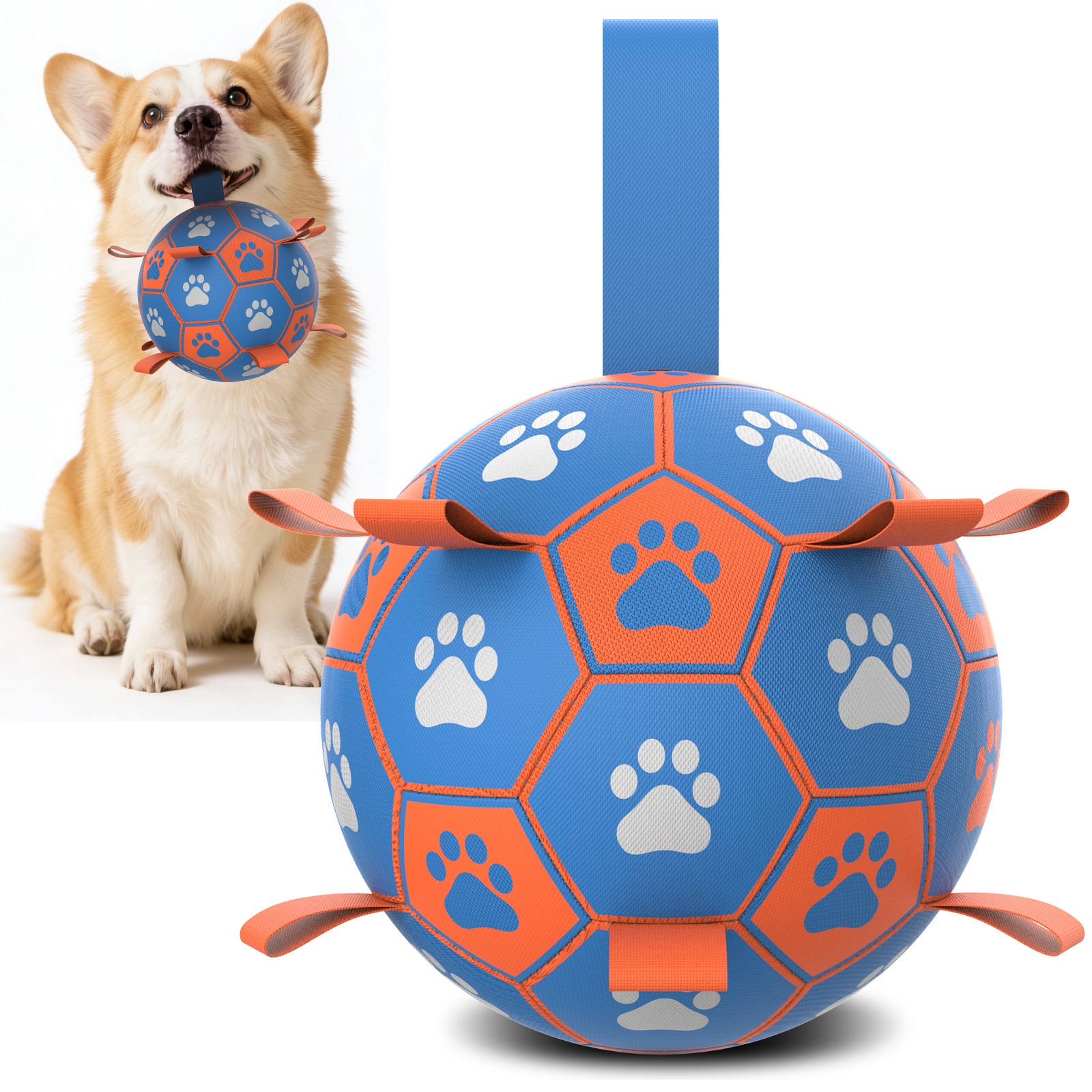 Qdan 강아지장난감, 강아지공, 개 축구공 끈 달린, 펌프 포함, 39,990원