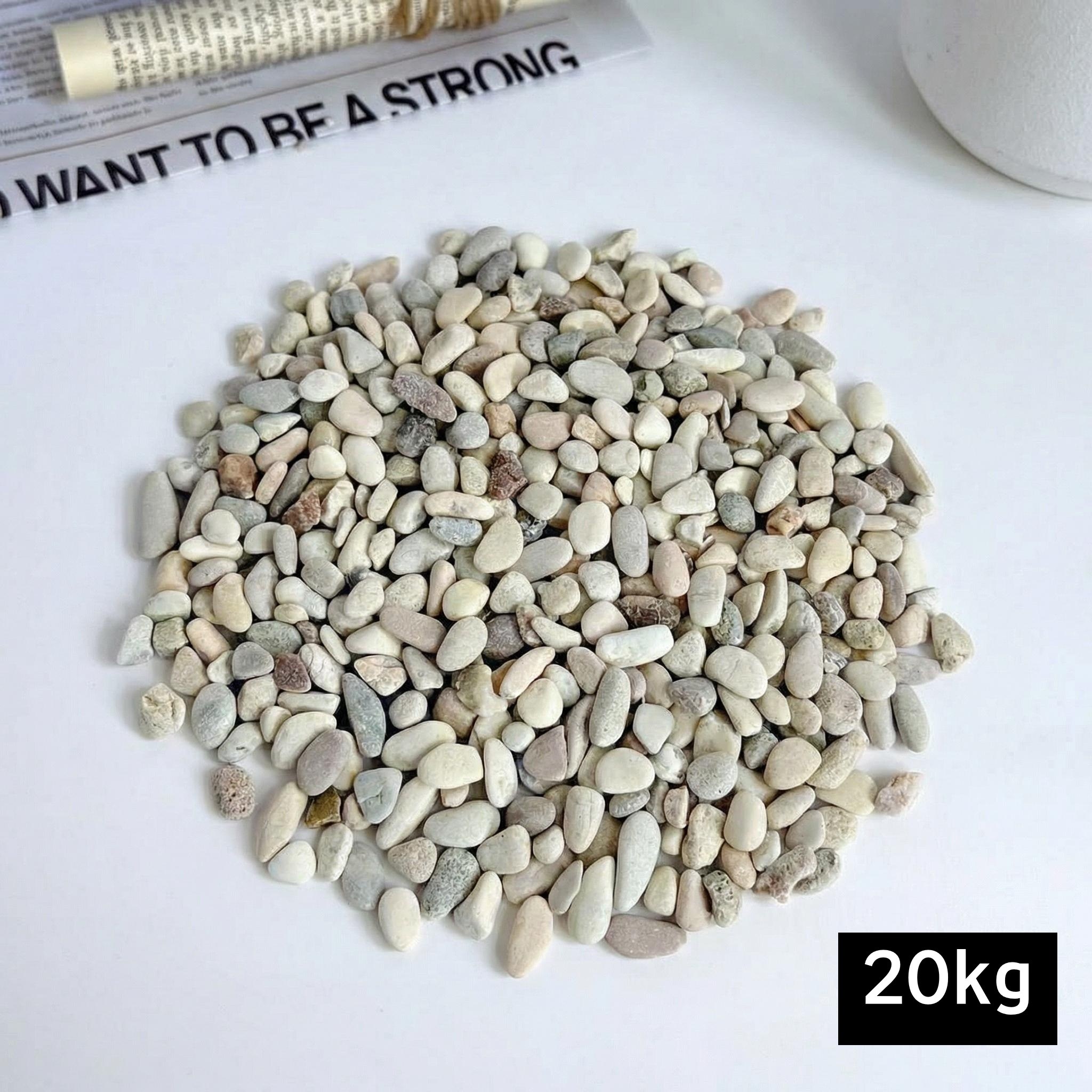 프리미엄 콩자갈 베이지 그린, 1개, AK콩자갈, 5-7mm, 20kg 26,000원