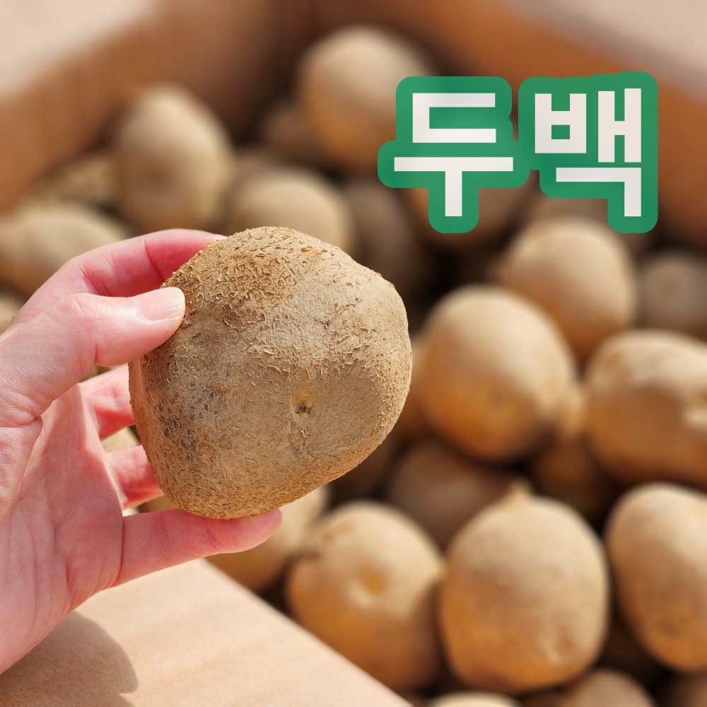 강원도 씨감자 두백, 1박스, 20kg 55,000원