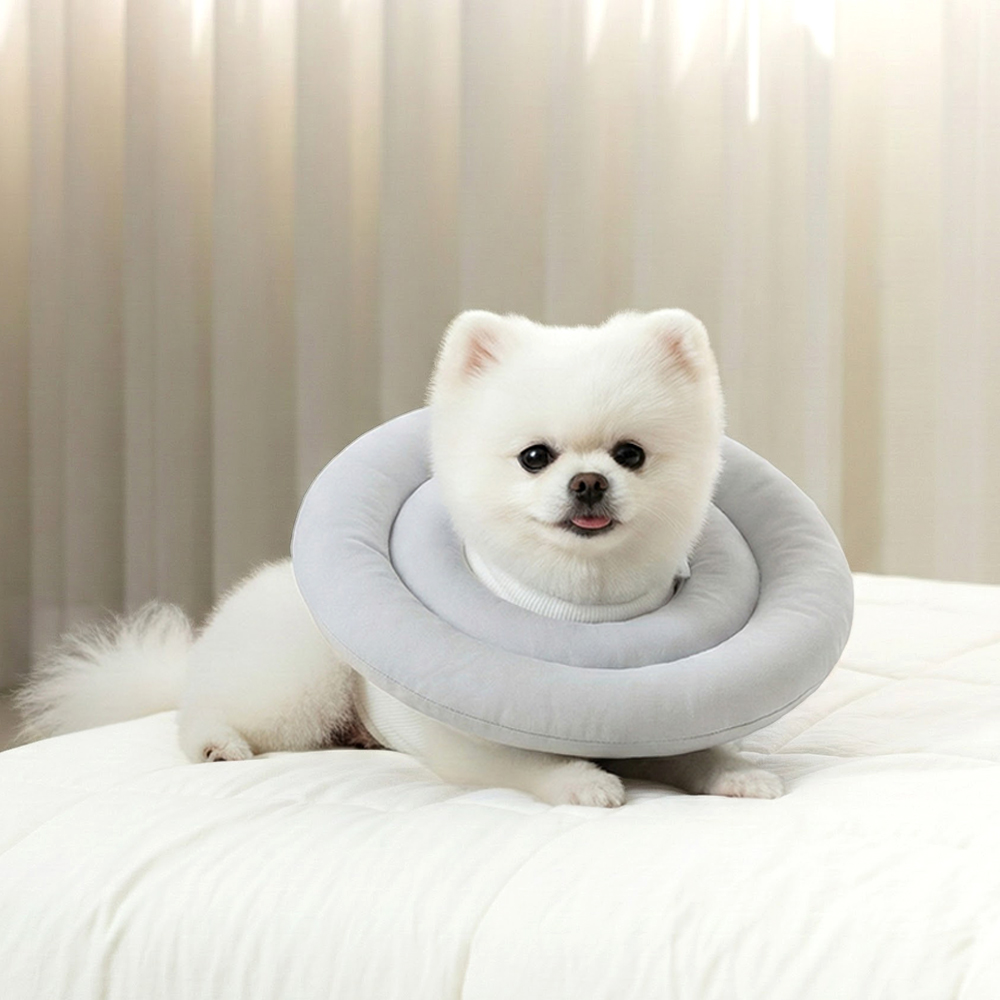 레토 반려동물 방수 초경량 넥카라, 그레이, 1개, 현재가 7,010원