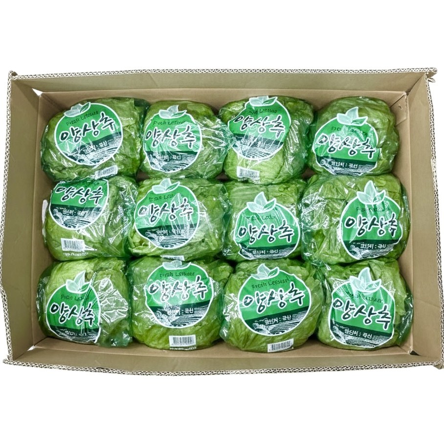 농진사 포장 양상추 국내산 특품, 12개, 500g 23,900원