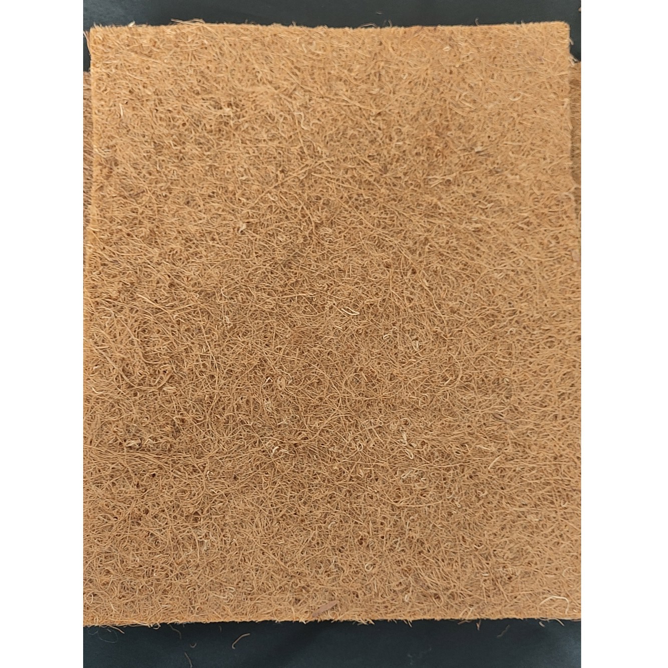 매트 현관 입구 카펫 모델 정원 야자나무 발판 30X100CM 수입 야외 1CM 21,700원