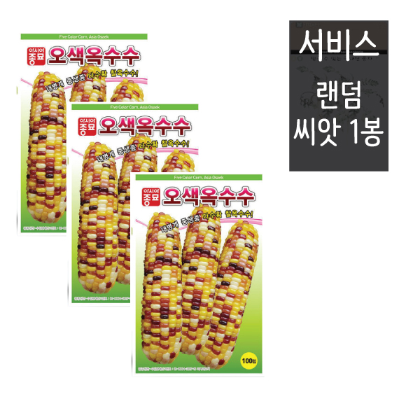 찰옥수수씨앗 100립 ( 3봉 + 랜덤씨앗1봉 ) 오색찰옥수수 옥수수씨앗종자 17,900원