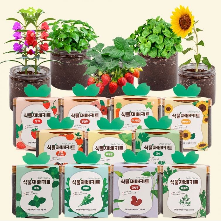 (4개입) 11종 식물재배키트 DIY 유치원 어린이집 학교 단체 주문 19,900원