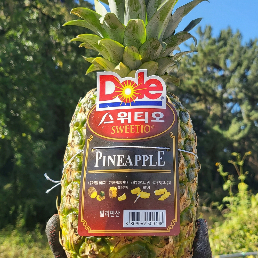 [단독특가] 돌 스위티오 고당도 파인애플 9,880원