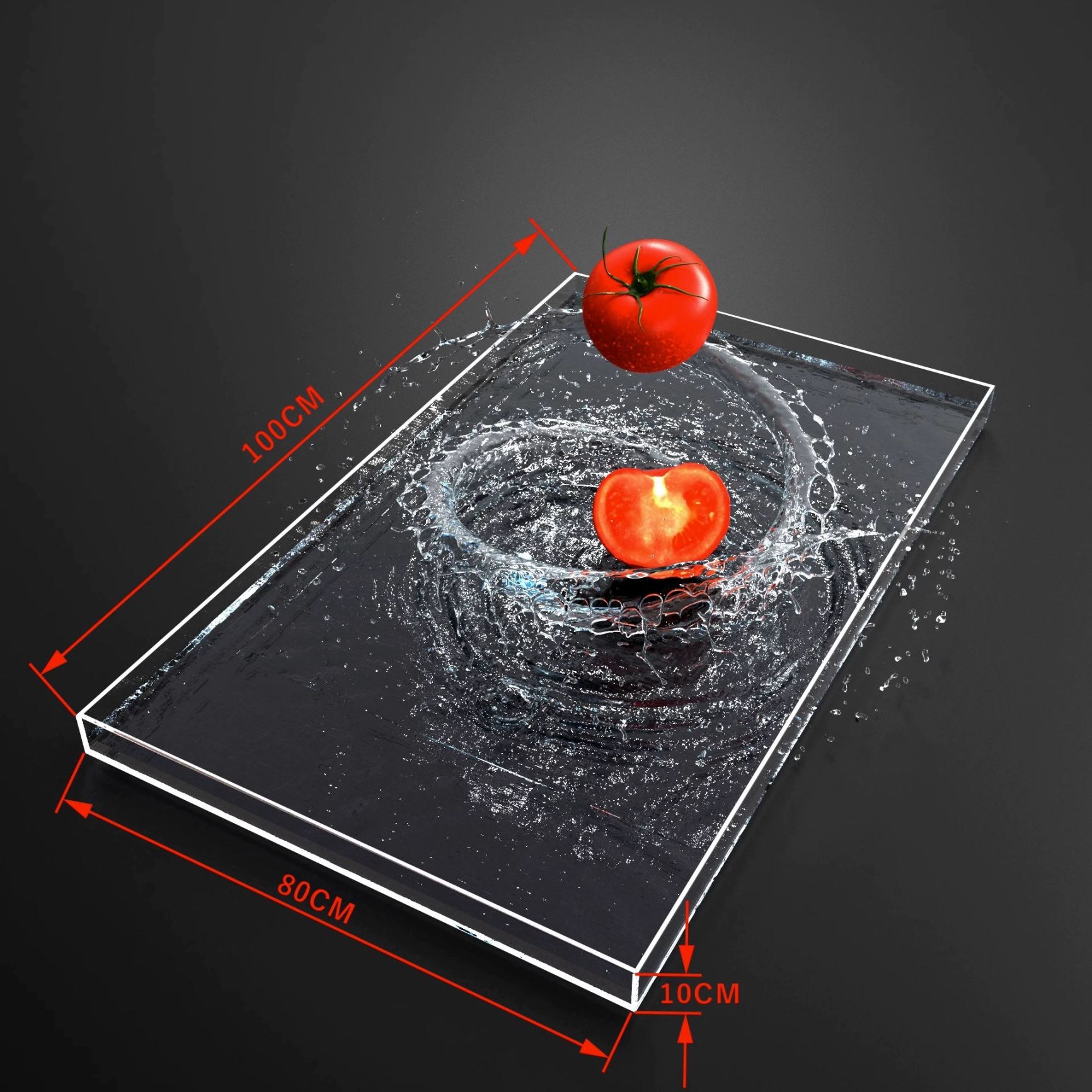 촬영용 아크릴 특수 낮은 수조, 1개, 투명 100x80x10cm 1,474,500원