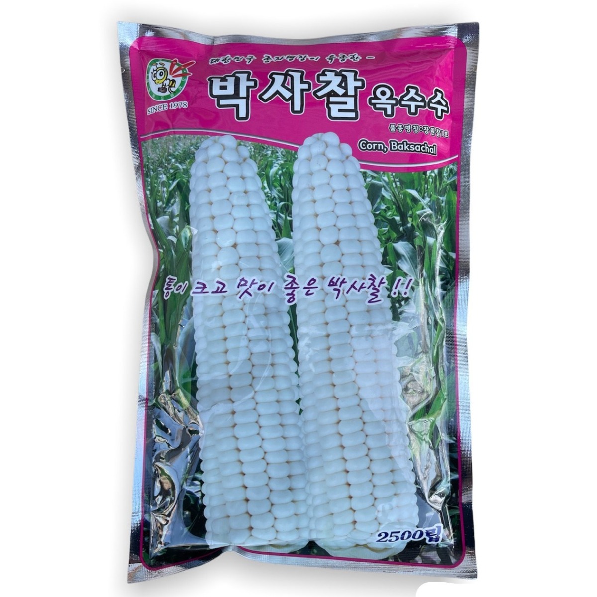 박사찰 옥수수 씨앗 2500립 [26년포장] 대용량 옥수수 씨앗 장원찰1호 종자 45,000원