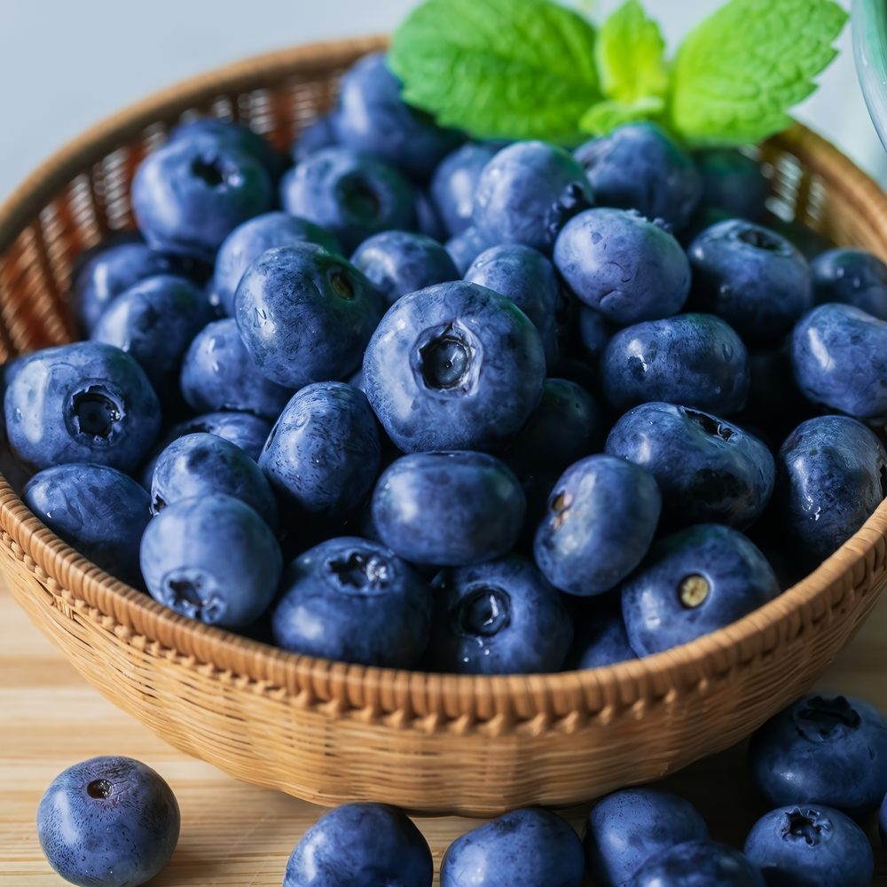 산지직송 생블루베리 직수입 블루베리 (팩당 125g), 1박스, 14-16mm / 12팩 46,500원