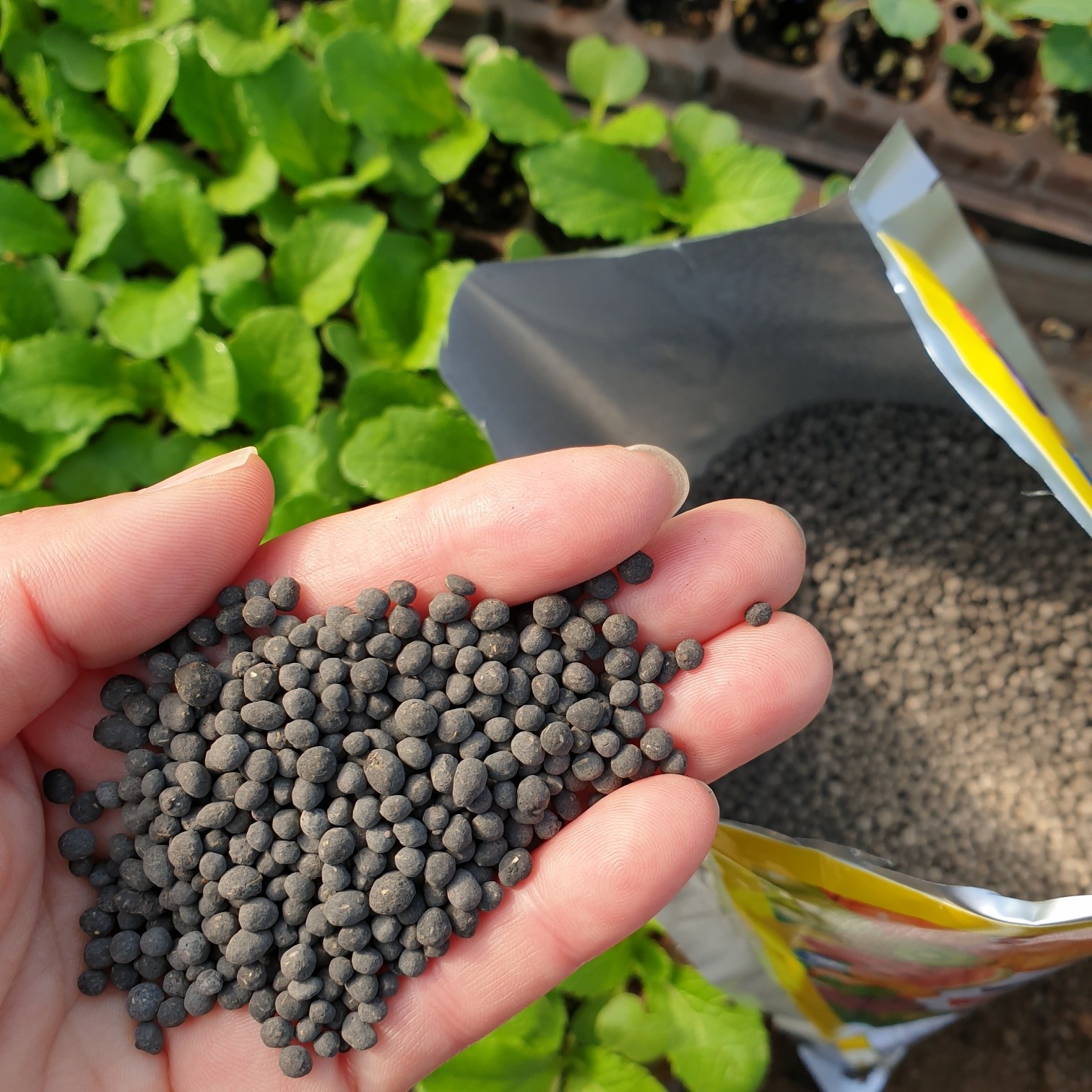 냄새없는 완숙 발효 거름 압축 나무 화단 밭 유실수 유기질 비료 퇴비, 1개 14,900원