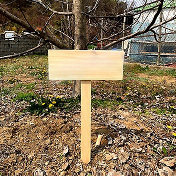 사이언샵 다용도나무팻말,화단보호,텃밭팻말,표지판(원목,칼라) 13,700원