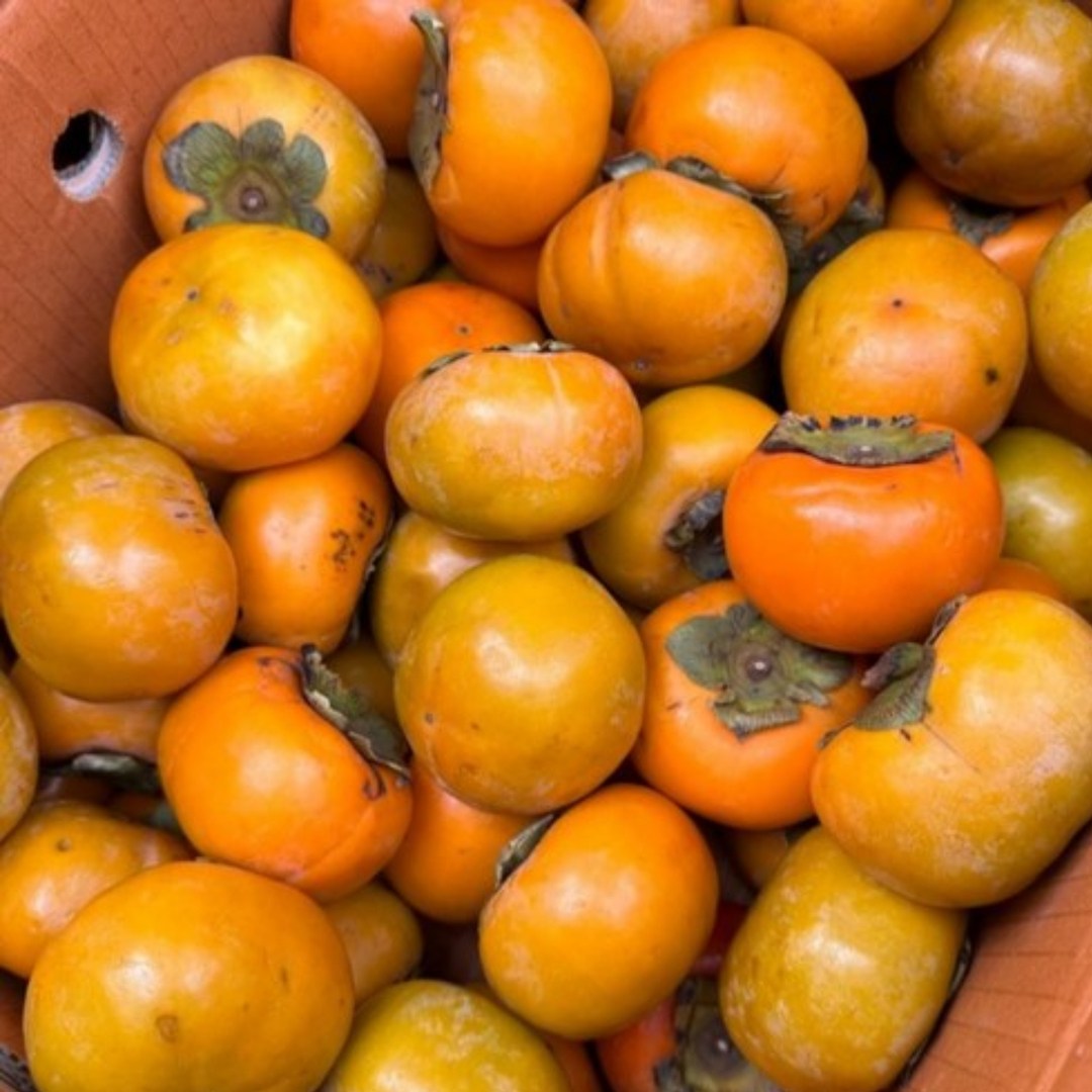 아삭한 고당도 국내산 햇단감 가정용(크기랜덤, 흠집), 1박스, 3kg 15,230원