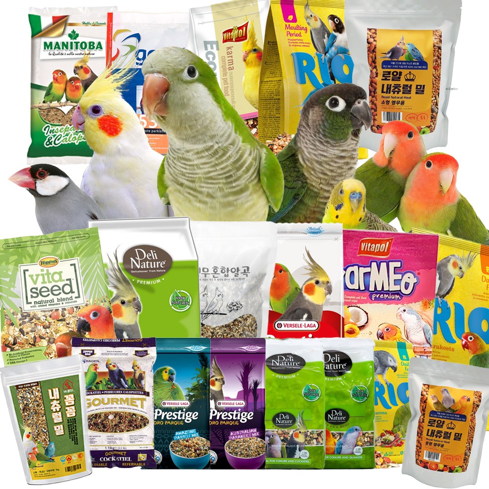 앵무새 먹이 모이 코뉴어 퀘이커 모란 왕관 잉꼬 사랑앵무 사료, 1개, 2kg 18,000원