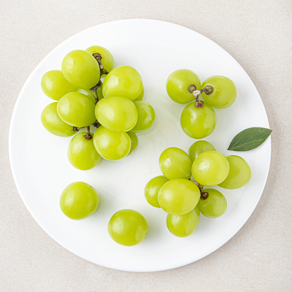 [로켓프레시] 다조은 알알이 샤인머스켓 5,220원