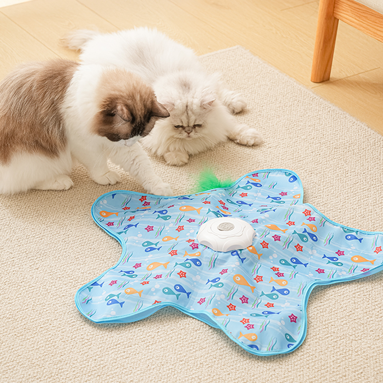 난펫 고양이 꼬리잡기 자동 장난감, 블루, 1개, PC-8 18,900원