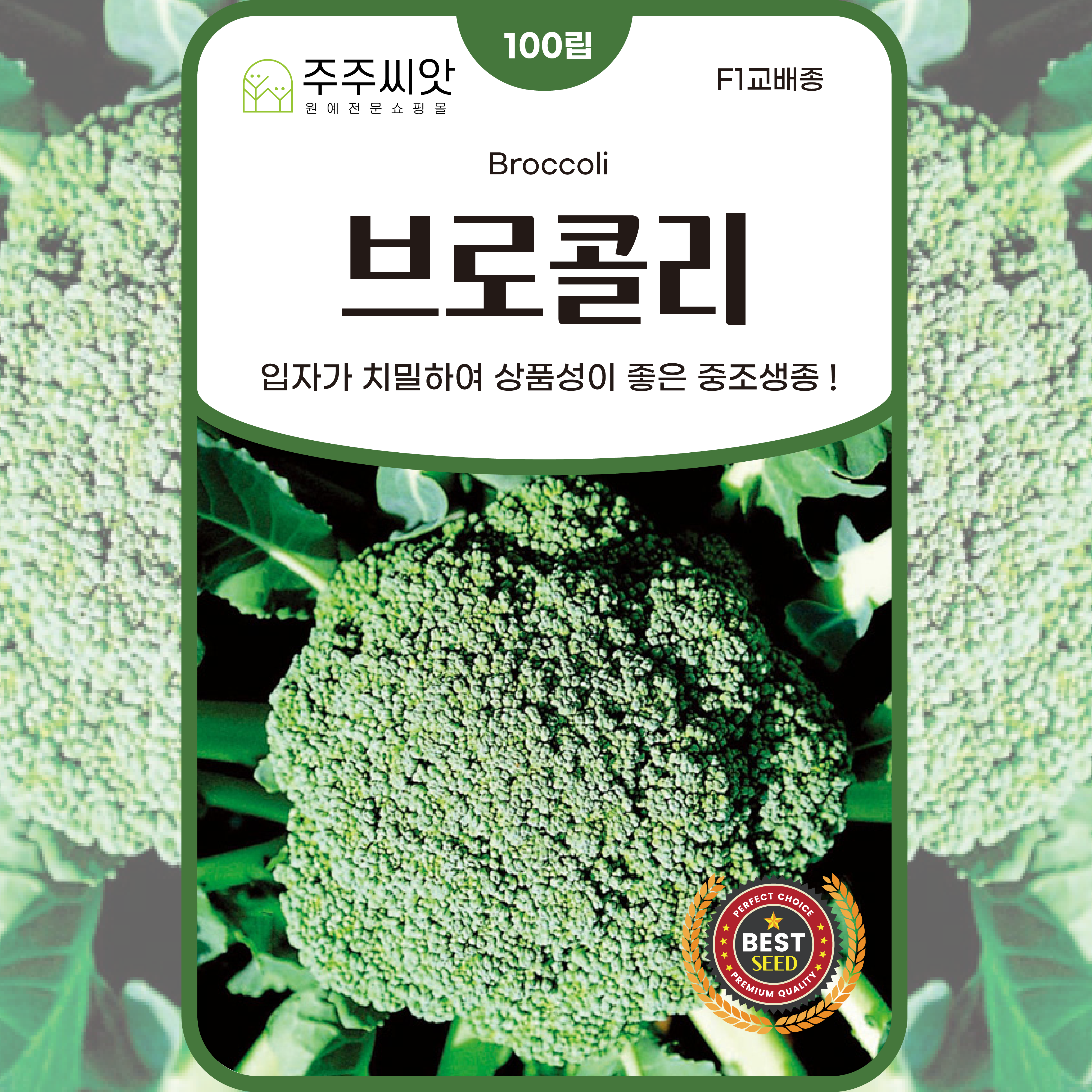 [주주씨앗] 브로콜리씨앗 100립 아시아종묘 브로콜리에쿠스 채소씨앗 중조생종, 1개 2,800원