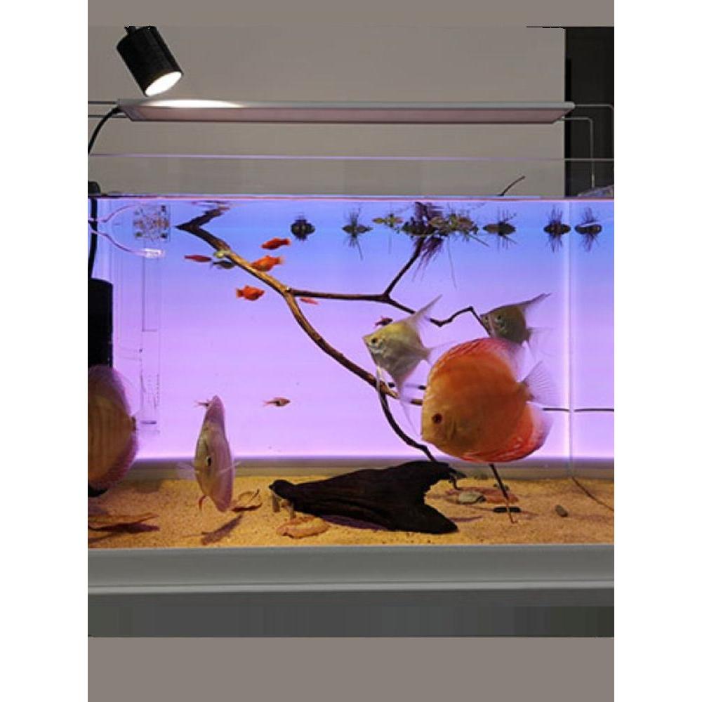 라이트백스크린 조명 수조 수족관 블루투스 해수어 LED 배경 48,300원