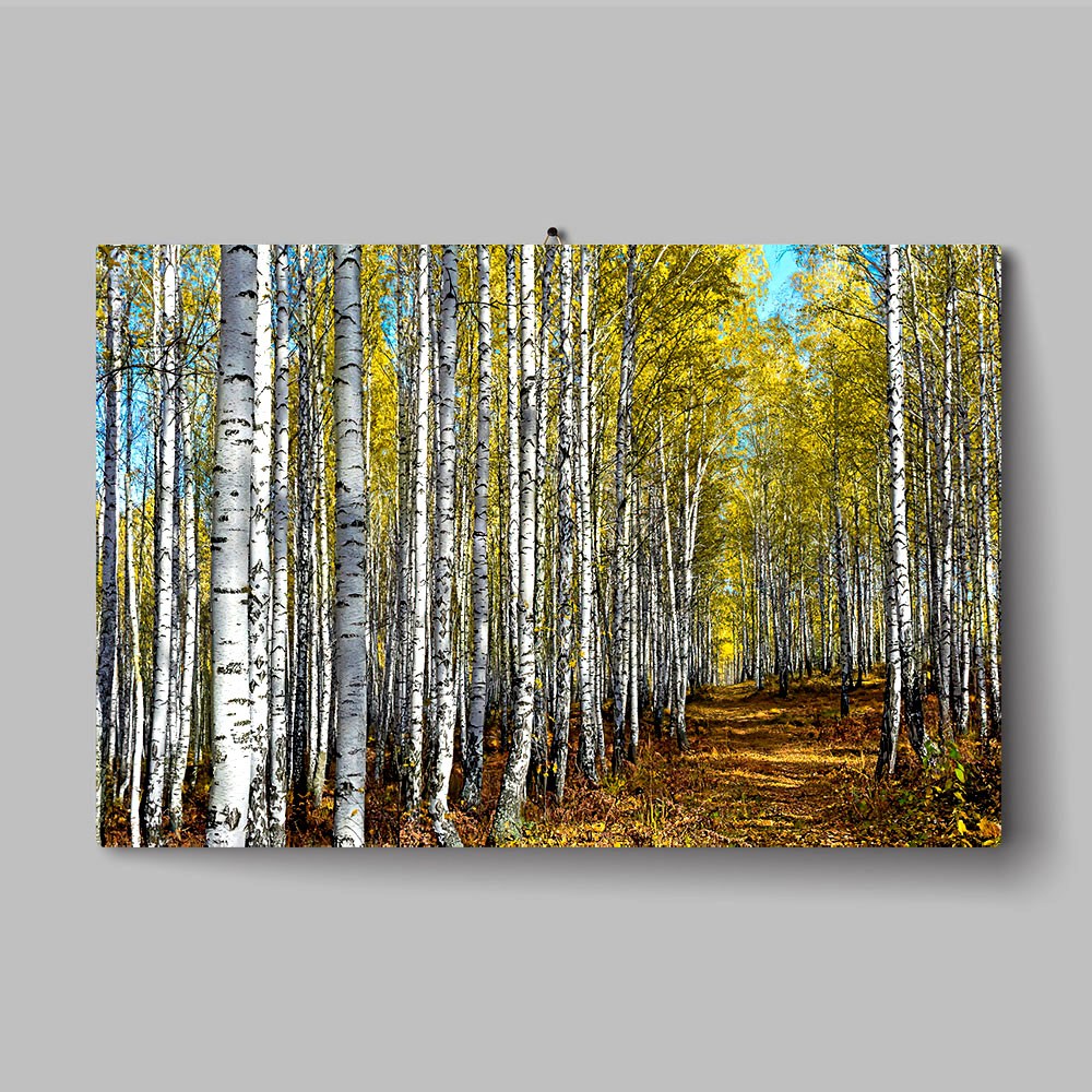 자작나무 숲 복을 부르는 거실 현관 고급 북유럽풍 액자 75,000원