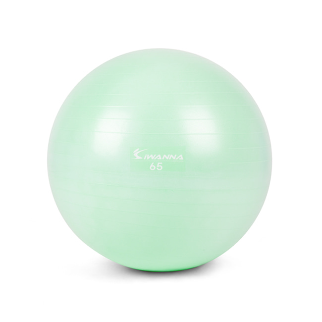 아이워너 안티버스트 앤 마사지 짐볼 13,800원