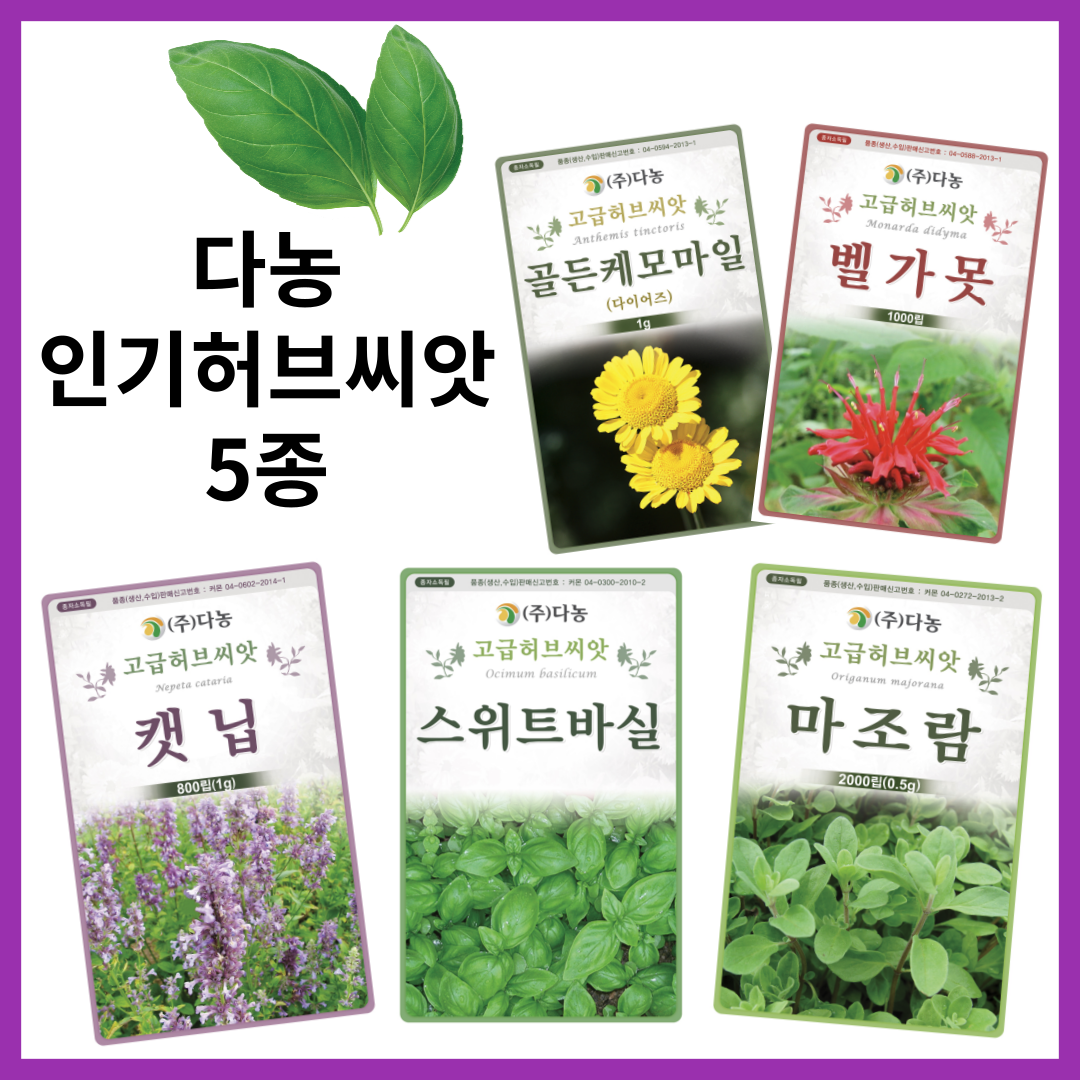 주주씨앗 다농 인기 허브씨앗 5종 택1 / 스위트바질 타임 캣닙 마조람 골든캐모마일 /카모마일 바실 베르가못 캣잎 종자 씨 모나르다 허브종자 3,000원