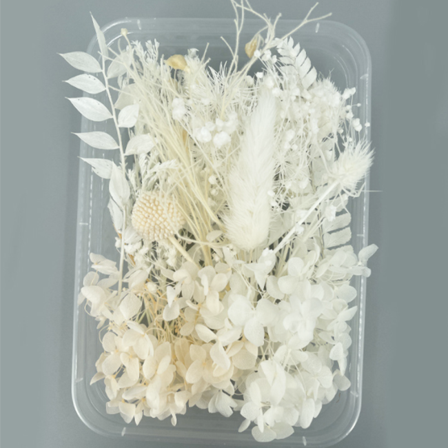 드그라쎄 드라이플라워 모음 박스 5,900원