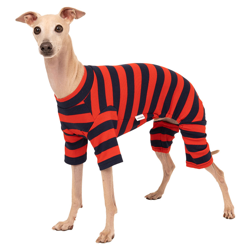 럭키페터 반려동물 베이직 스트라이프 올인원 아이쥐옷 26,900원