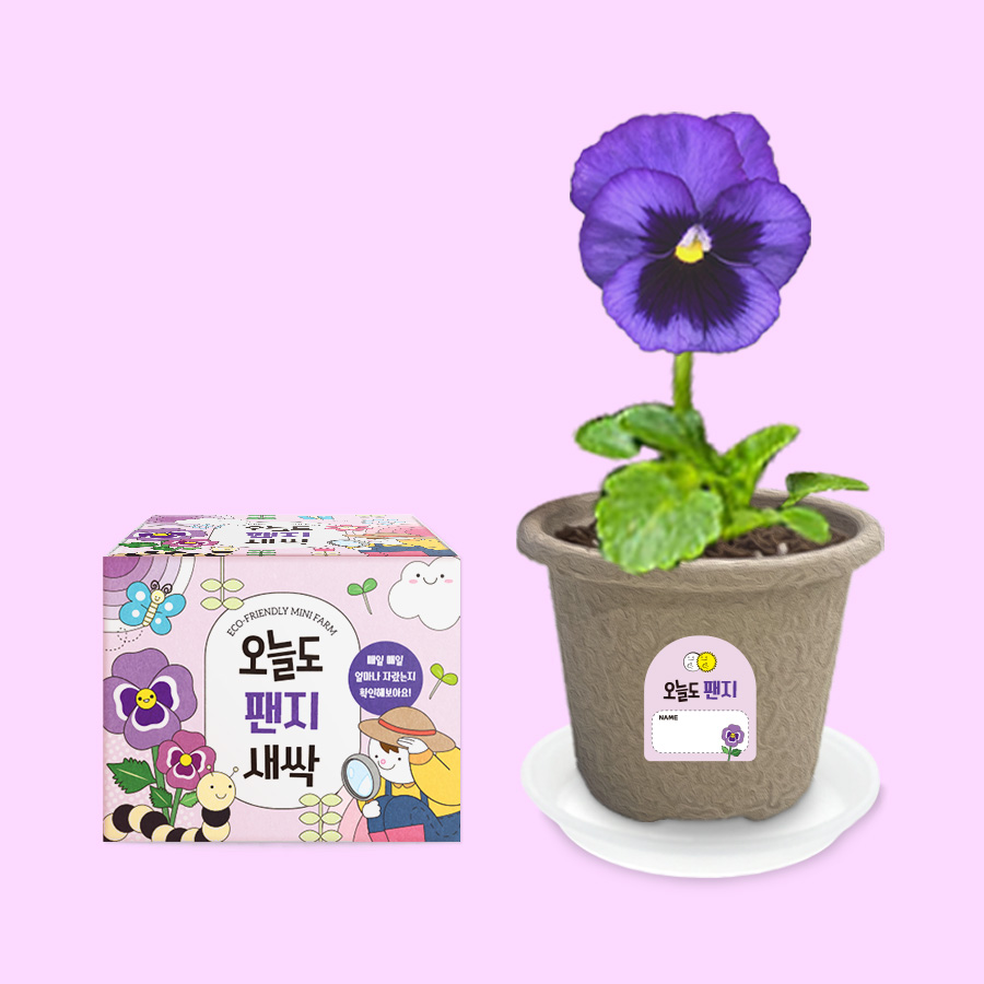 오늘도새싹 식물키우기 팬지 미니화분 120,000원