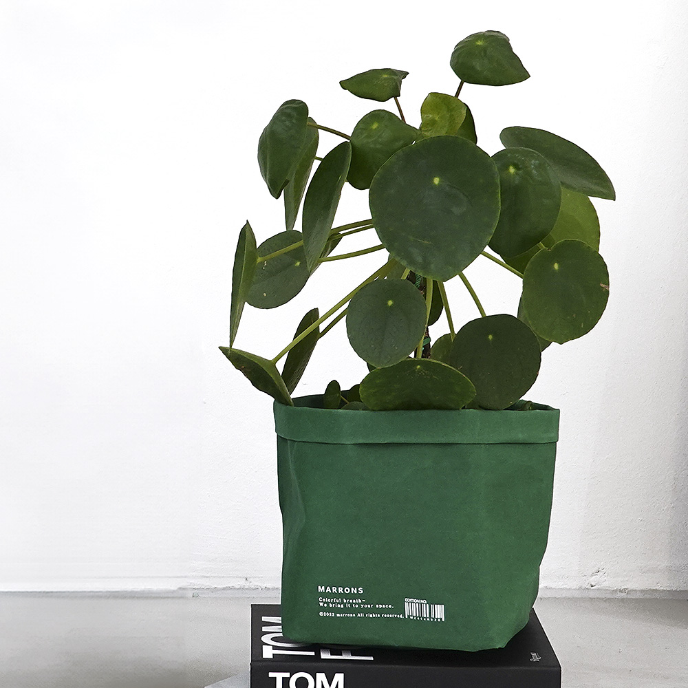 마롱즈 페이퍼 바구니, 그린, 4개 30,200원