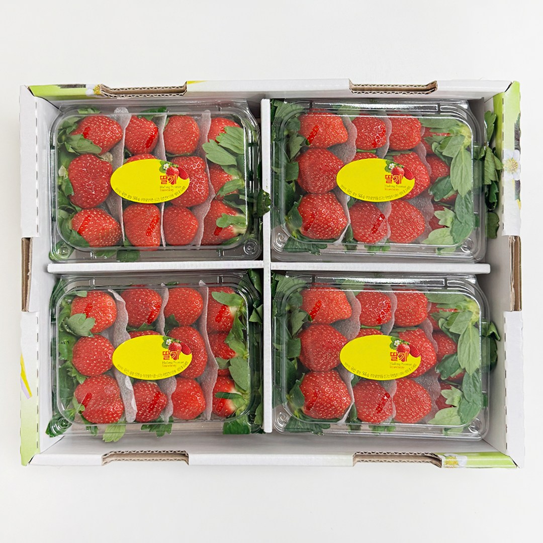 설향 홍희 고당도 제철 딸기, 1개, 2kg (특) 33,500원