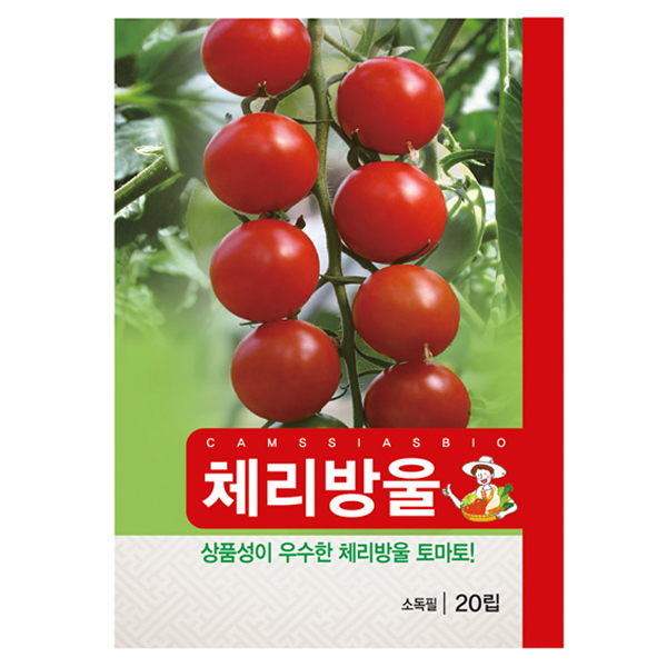 체리 방울 토마토 씨앗, 현재가 2,840원