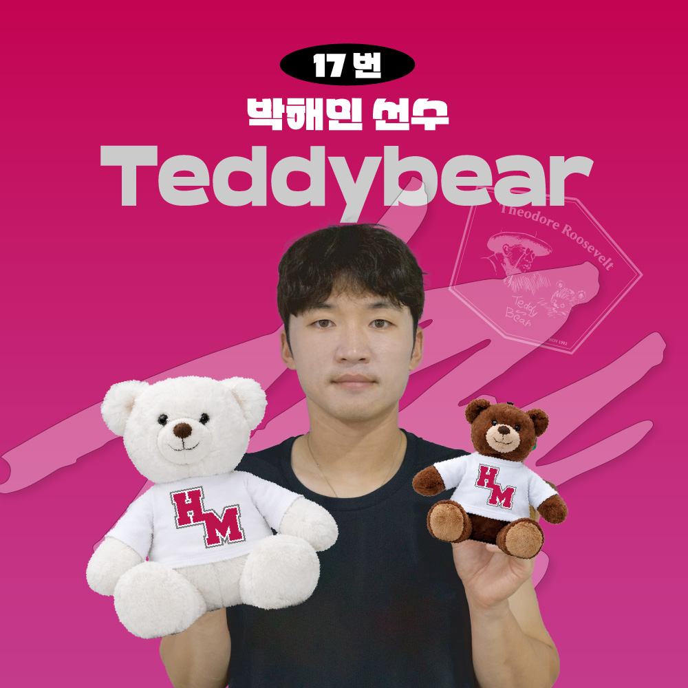 [LG트윈스] 박해민 프로야구 선수 테디베어 인형 불꽃야구 크보 팬 굿즈 판매 선물템, 브라운, 1개 40,900원