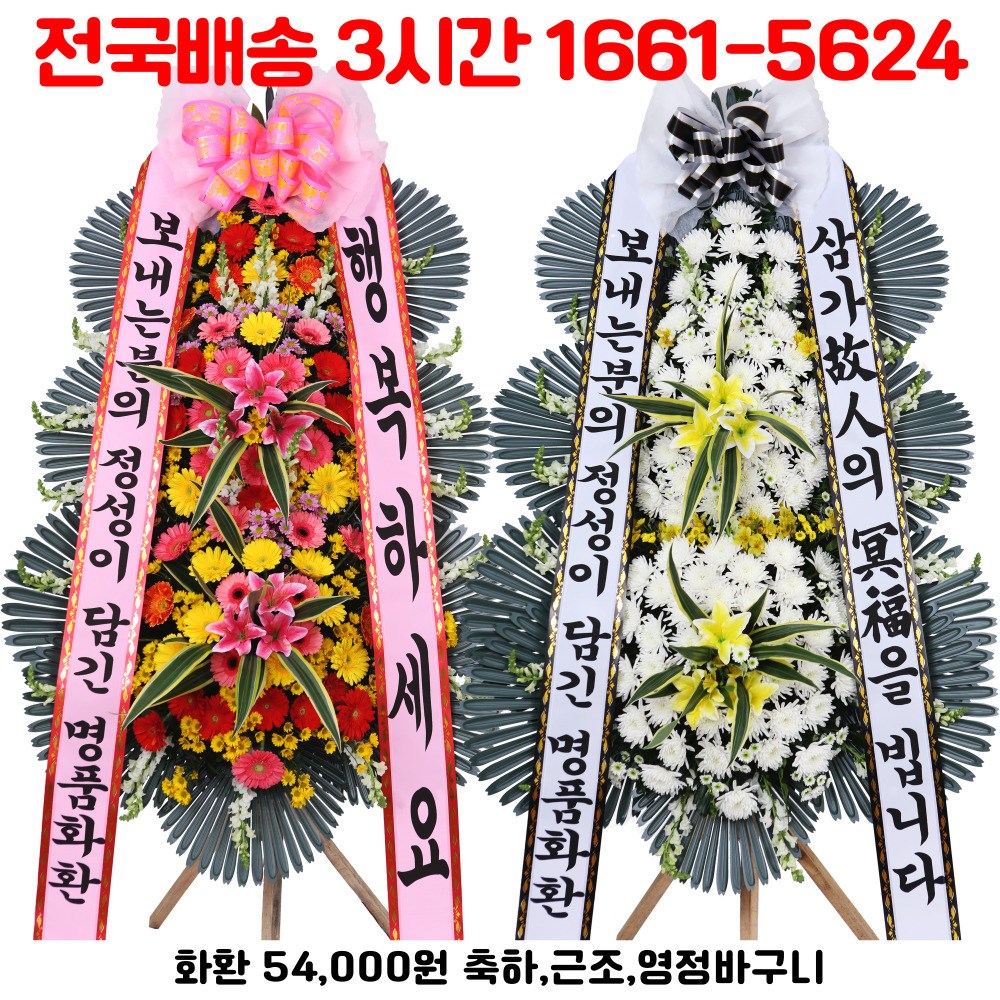 전국 당일 무료 배송, 다덴다플라워 축하화환, 근조화환 54,000원