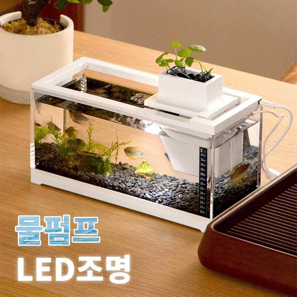 EVOKME 생태 어항 물고기어항 어항세트  열대어 물고기키우기 자동순환 펌프 26,900원