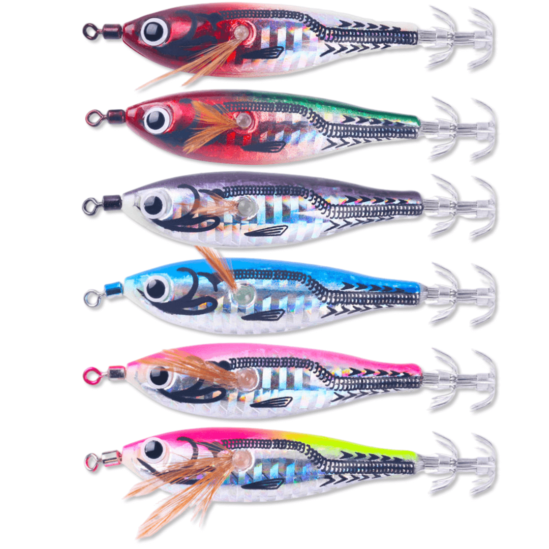 레인보우 홀로그램 야광 윙 에기 6개세트 루어 오징어루어 문어루어 6개묶음, 1세트, 10g, 6색 18,500원