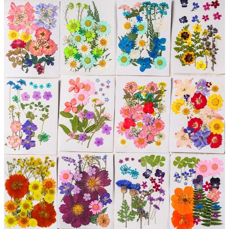 압화 꽃 F형 세트 공예 재료 레진 아트 꽃압화 드라이 플라워 장식 보존화 만들기, 06.블루화이트(1세트) 6,900원