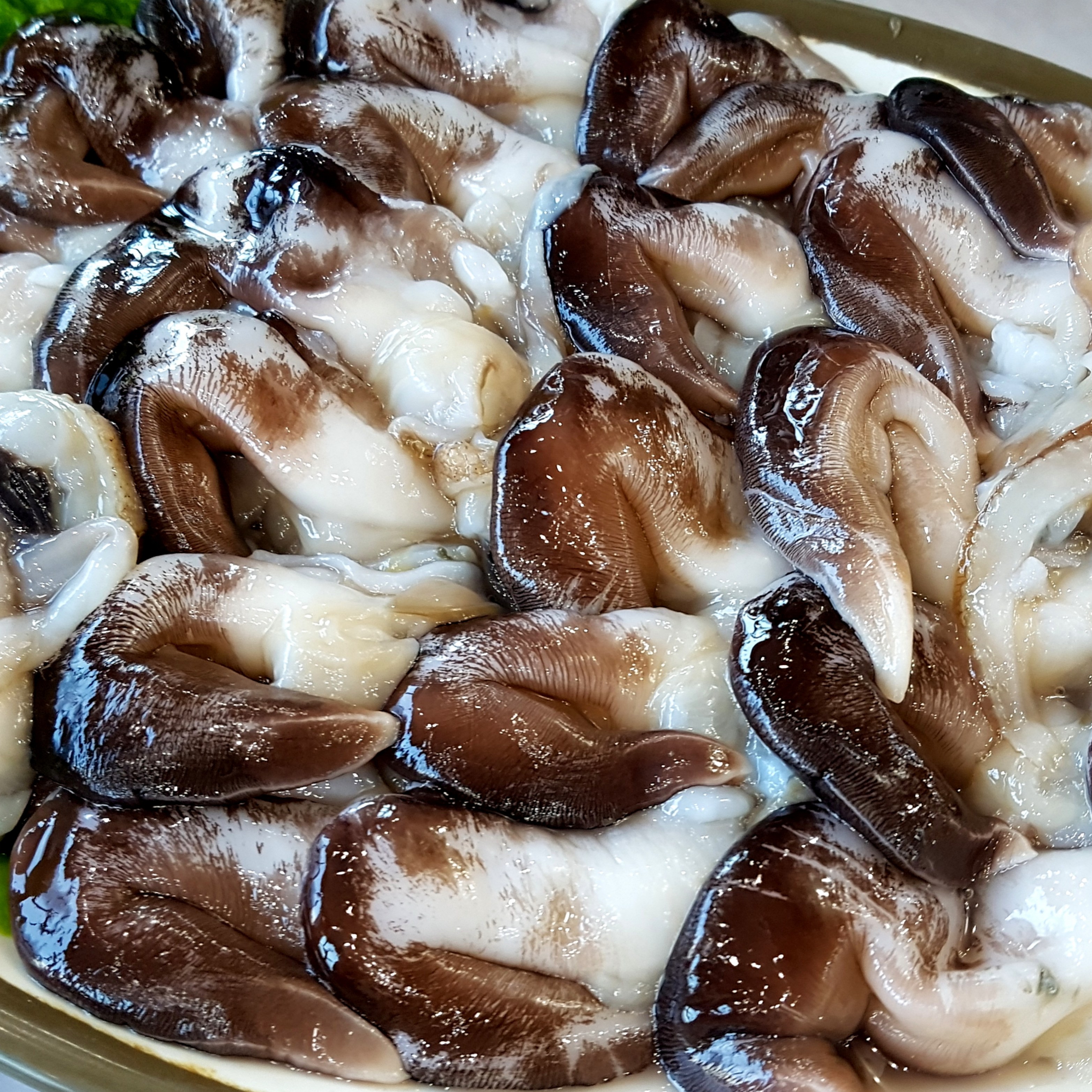 국내산(남해안) 검정새조개 손질 완료 / 신선배송 69,000원