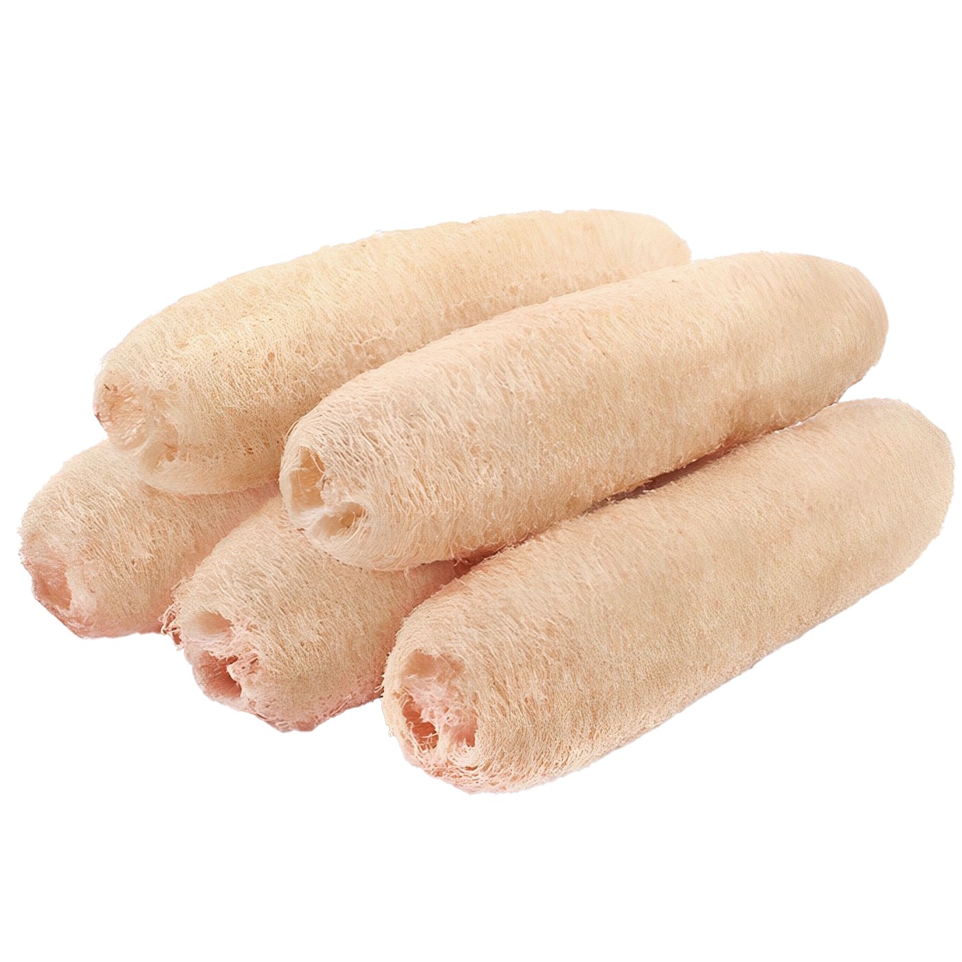 투데이리빙 5개 세트 천연 수세미 25cm 주방 설거지 잘라쓰는 7,910원