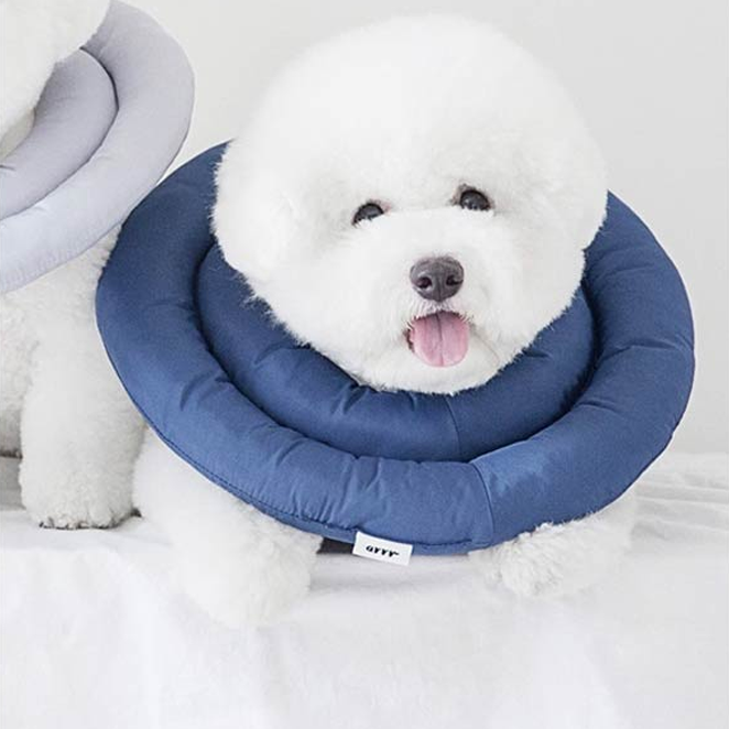 동원아르르 반려동물 UFO 넥카라 17,950원