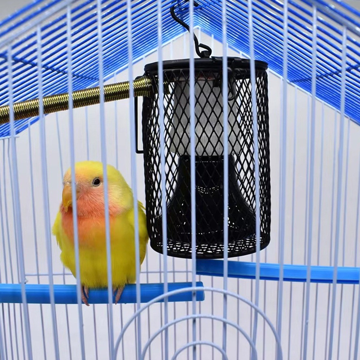 세라믹 히팅 램프 파충류 거북이 도마뱀 게코 일광욕 열전구, 1개, 히팅램프 홀더 소 14,000원