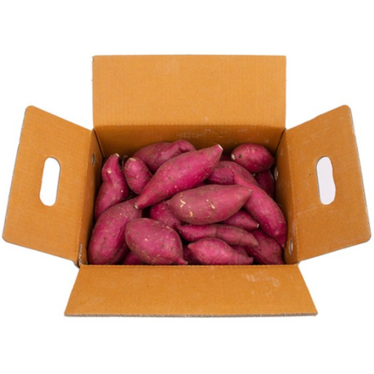 해풍맞은 해남 세척 무농약 흙당 꿀고구마 23,000원